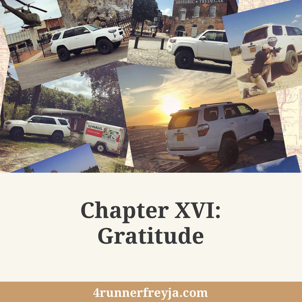 Chapter XVI: Gratitude