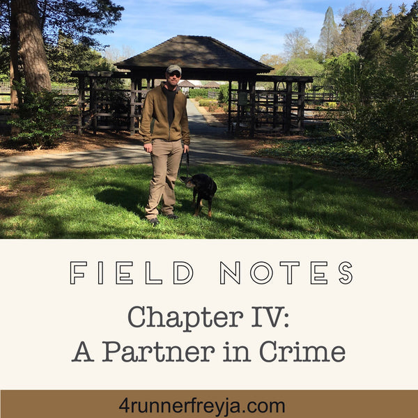 Chapter IV: A Partner in Crime