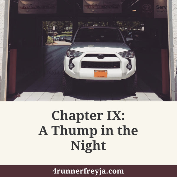 Chapter IX: A Thump in the Night